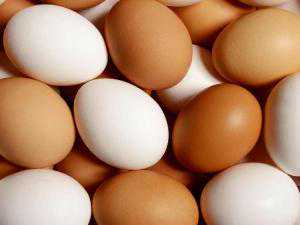 供卵收费价目表_正规供卵试管,试管找供卵价格,北京供卵都找李广零风险