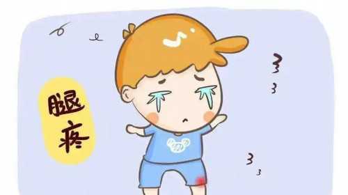 上海一妇婴试管供卵成功率高吗?
