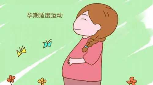 上海助孕公司哪家最安全？亲身经历分享
