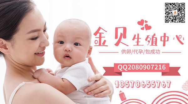 上海助孕成功率排行及医院推荐